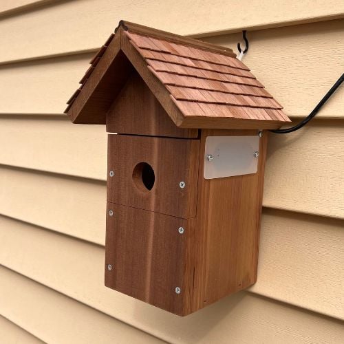 Heather's Nest Box Live camera